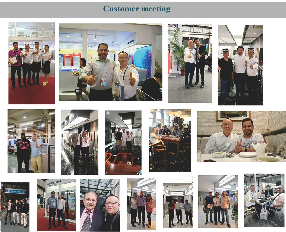 409L Home Use Energy Saving Inverter French Door Refrigerator OEM