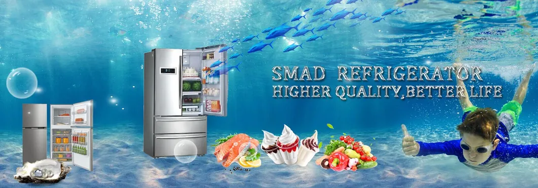 French Door Fridge No Frost Super Freezer Refrigerator