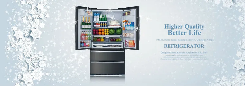 21.5 Cuft 608L French Door Water dispenser General New Refrigerator