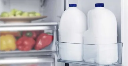 Inverter Compressor 3 Doors French Type Household Refrigerator