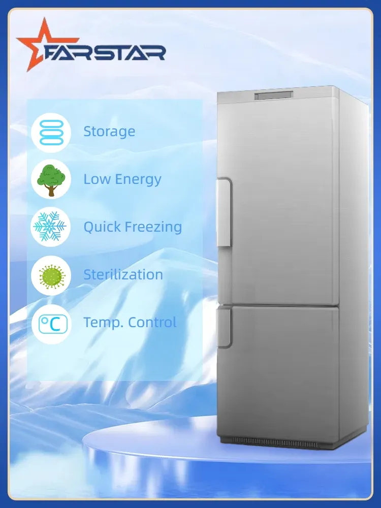 298L Wholesale Household Defrost Double Door Refrigerator Fridge with Big Capacity for Hotel Restaurant Kitchen