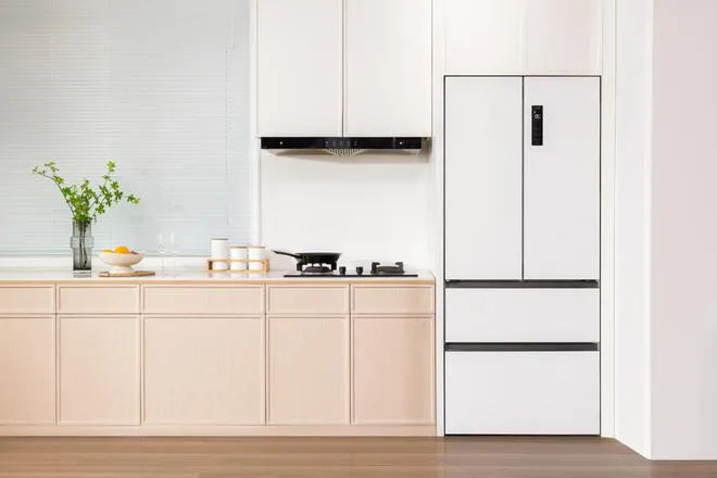 Bcd-498W Double Door Refrigerator Two Door Fridge New Design High Quality Factory Price Low Energy Consumption