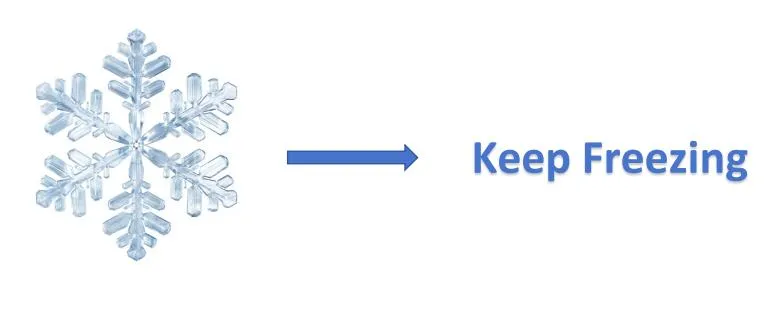 Bcd-498W Double Door Refrigerator Two Door Fridge New Design High Quality Factory Price Low Energy Consumption