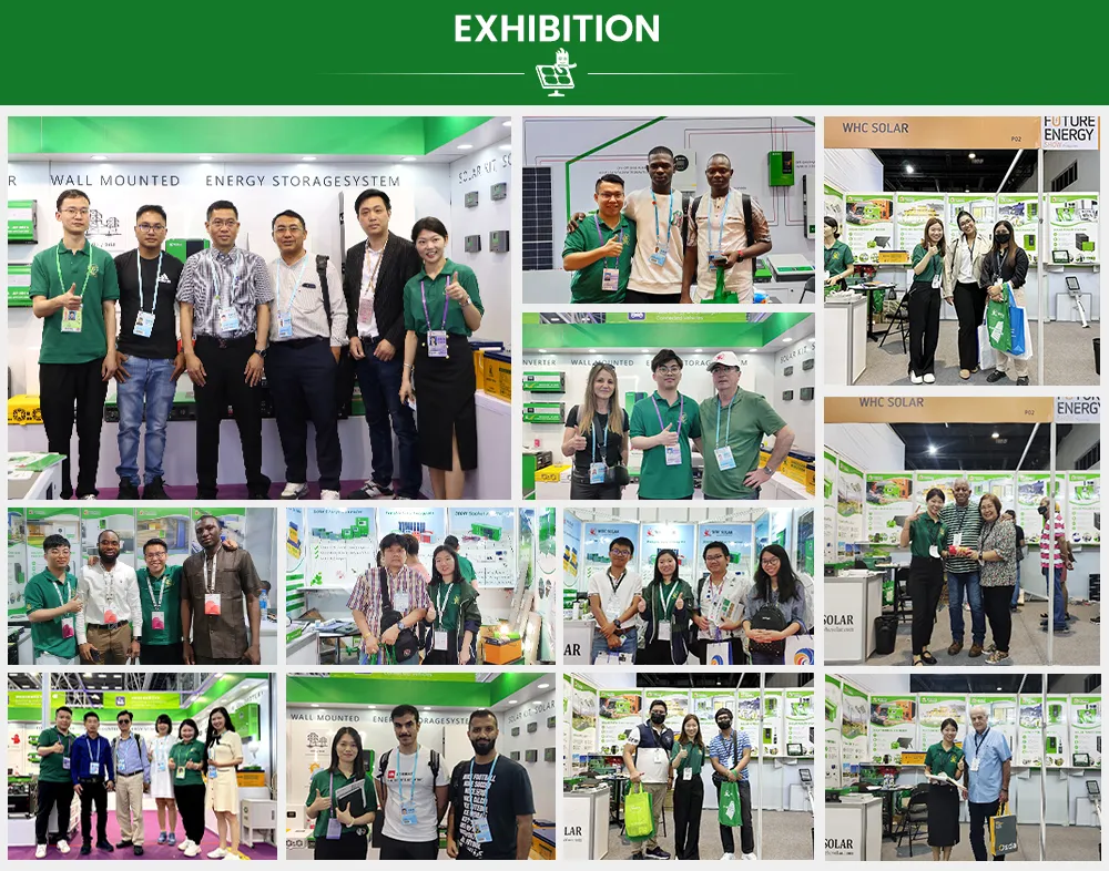 Whc Hot Selling Double Door Top Freezer Home Use Top-Freezer Refrigerator