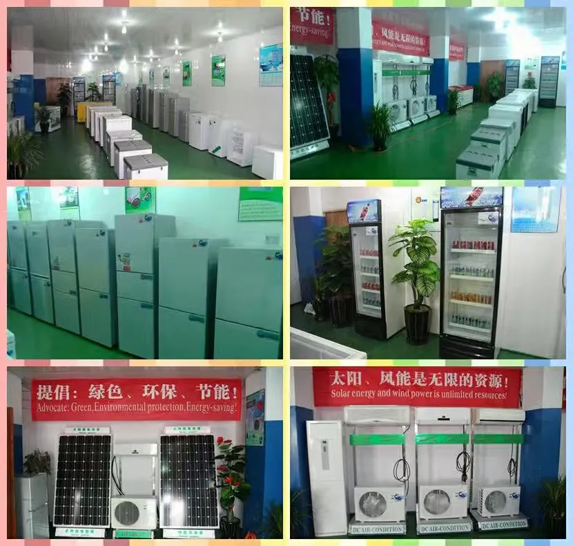 Cheap Price Solar Power Double Door DC 12V 24V Solar Fridges Freezers Refrigerators