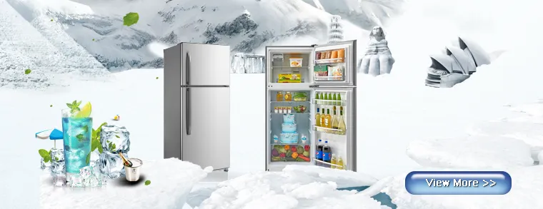 Bottom Freezer Compressor Double Door Vegetable Refrigerator for Home