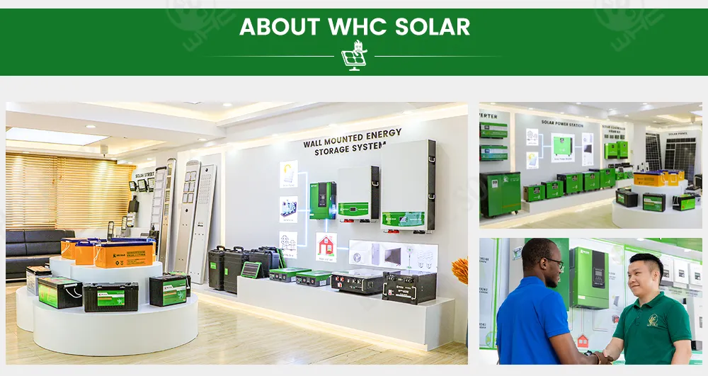 Whc Capacity Big Chill Kitchen Appliance Drawers Water Dispenser No Frost French Double Door Bottom Freezer Refrigerator for Home Us