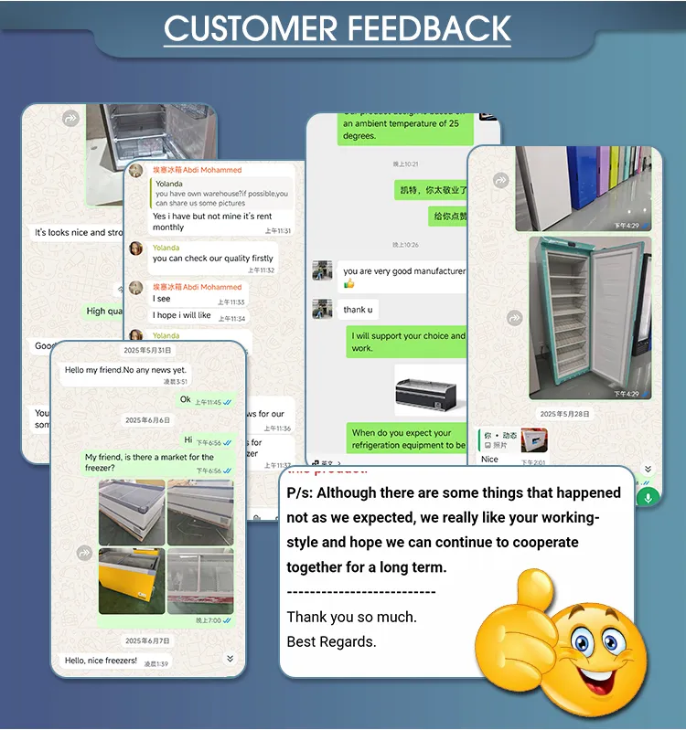 Yunlei-Hot Selling Double Door Top Freezer Home Use Top-Freezer Refrigerator