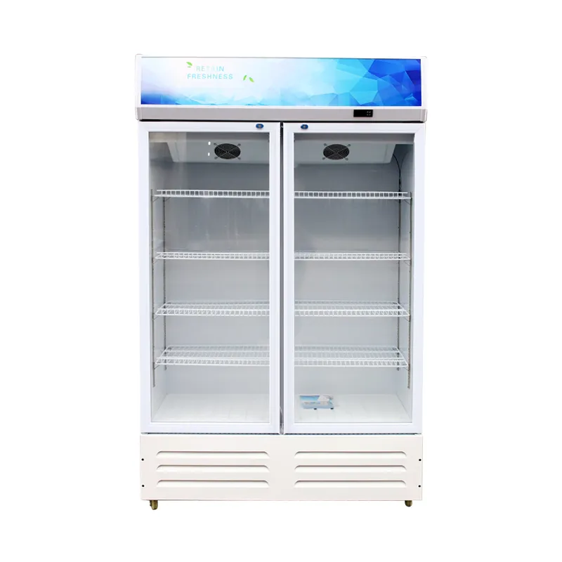 Double Glass Door Vertical Upright Cooler Beverage Refrigerator