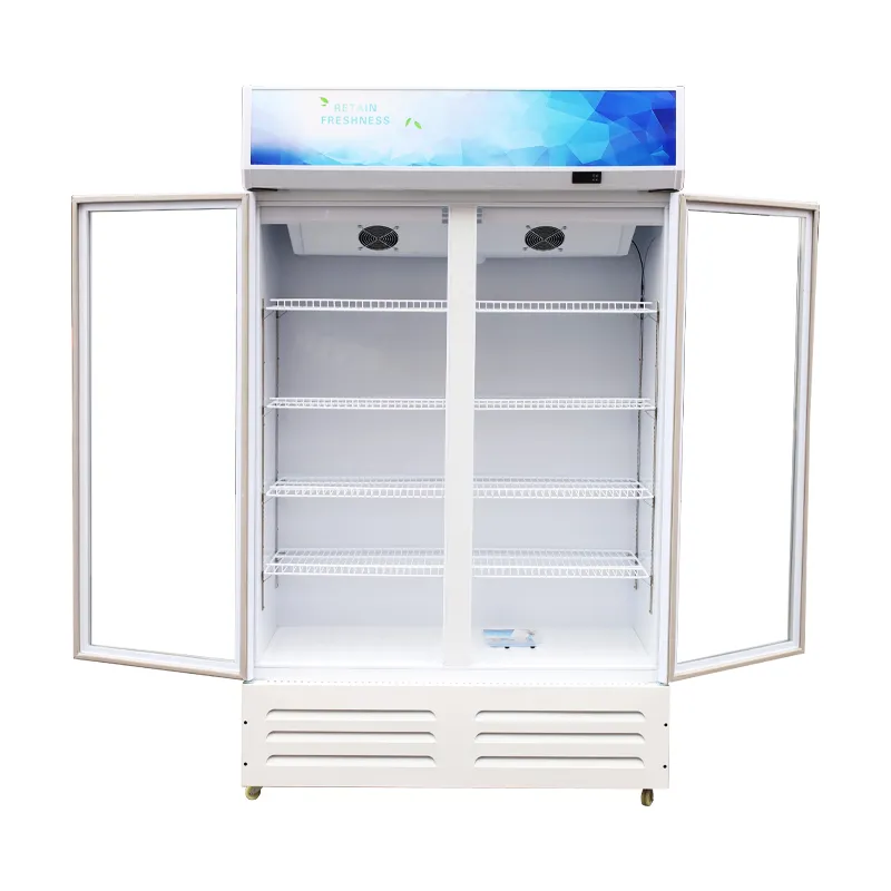 Double Glass Door Vertical Upright Cooler Beverage Refrigerator