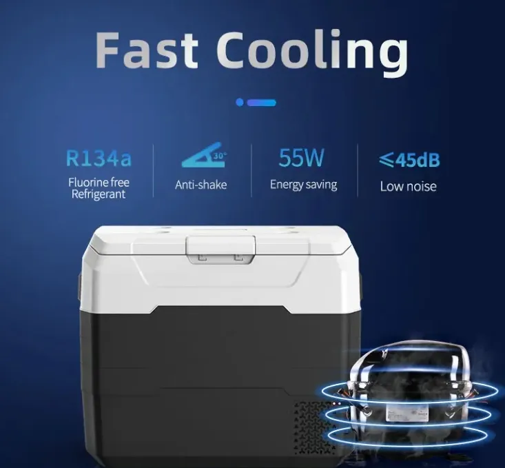 Waycool Alg50L Portable Mini Car Fridge for Camping and Outdoor Use and Truck