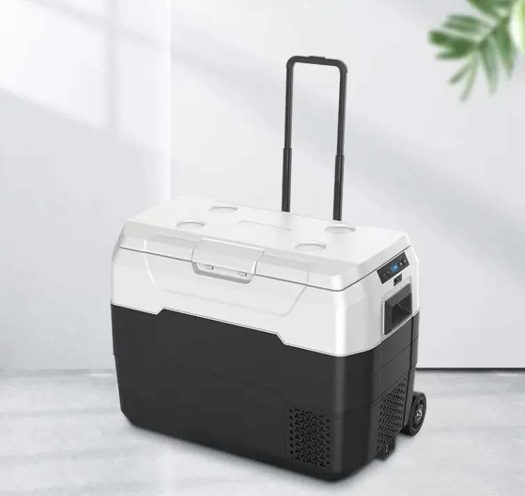 Waycool Alg50L Portable Mini Car Fridge for Camping and Outdoor Use and Truck