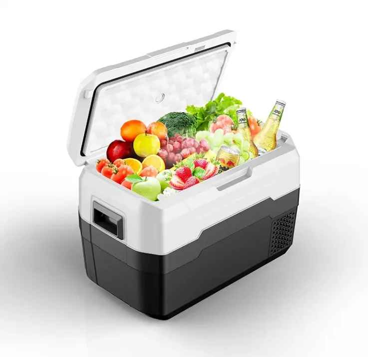 Waycool Alg50L Portable Mini Car Fridge for Camping and Outdoor Use and Truck