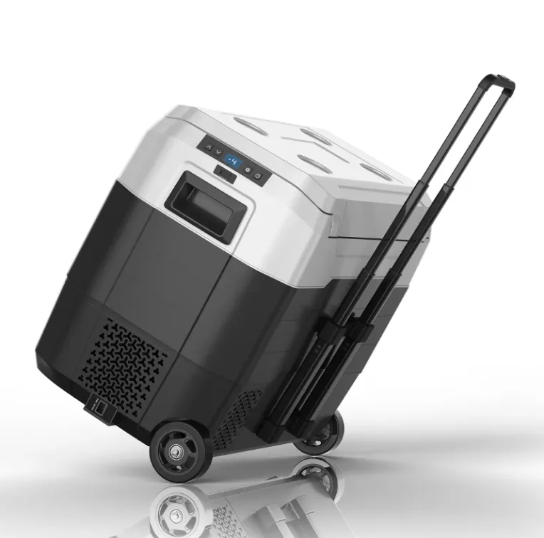 Waycool Alg50L Portable Mini Car Fridge for Camping and Outdoor Use and Truck