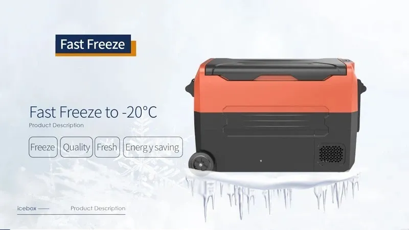 Car Refrigerator Portable Hard Coolers 35L Outdoor Dual Temperature Cooler Warmer Box Retro Mini Car Fridge