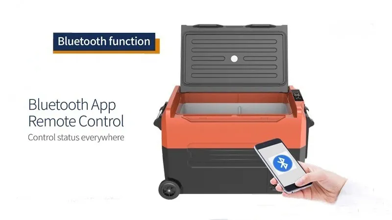 Car Refrigerator Portable Hard Coolers 35L Outdoor Dual Temperature Cooler Warmer Box Retro Mini Car Fridge