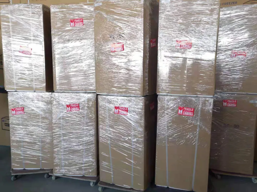 90L DC Solar Small Refrigerator 12V/24V Mini Upright Fridges