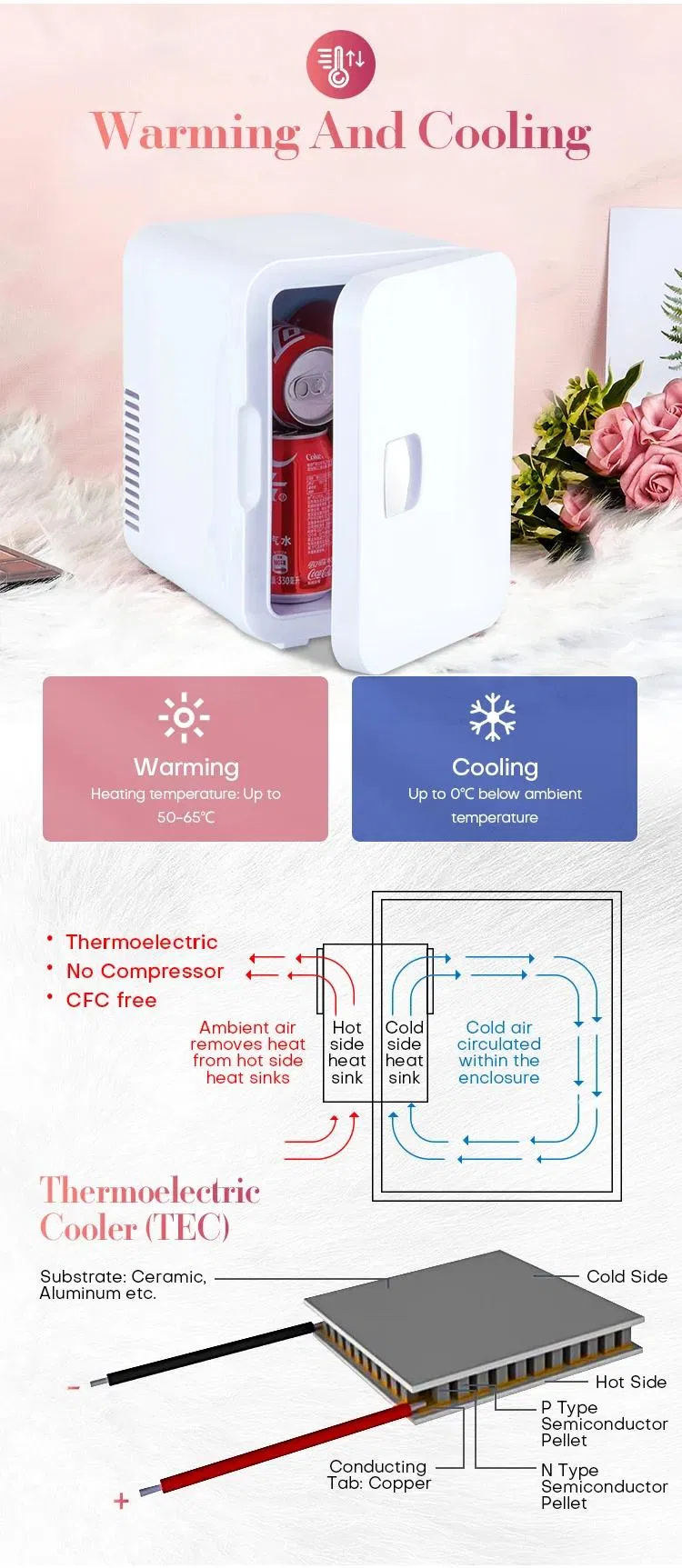5L Rechargeable Mini Fridge