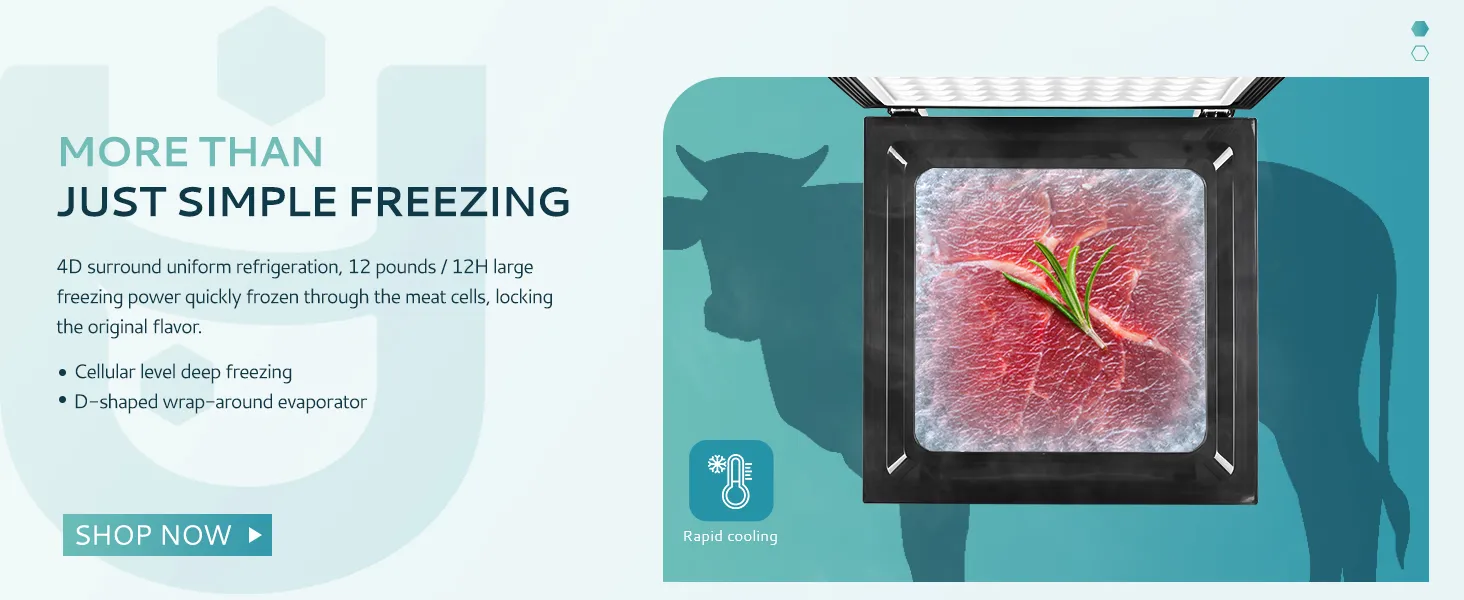 Mini Fridge with Insulated Door Seal and 90L Capacity