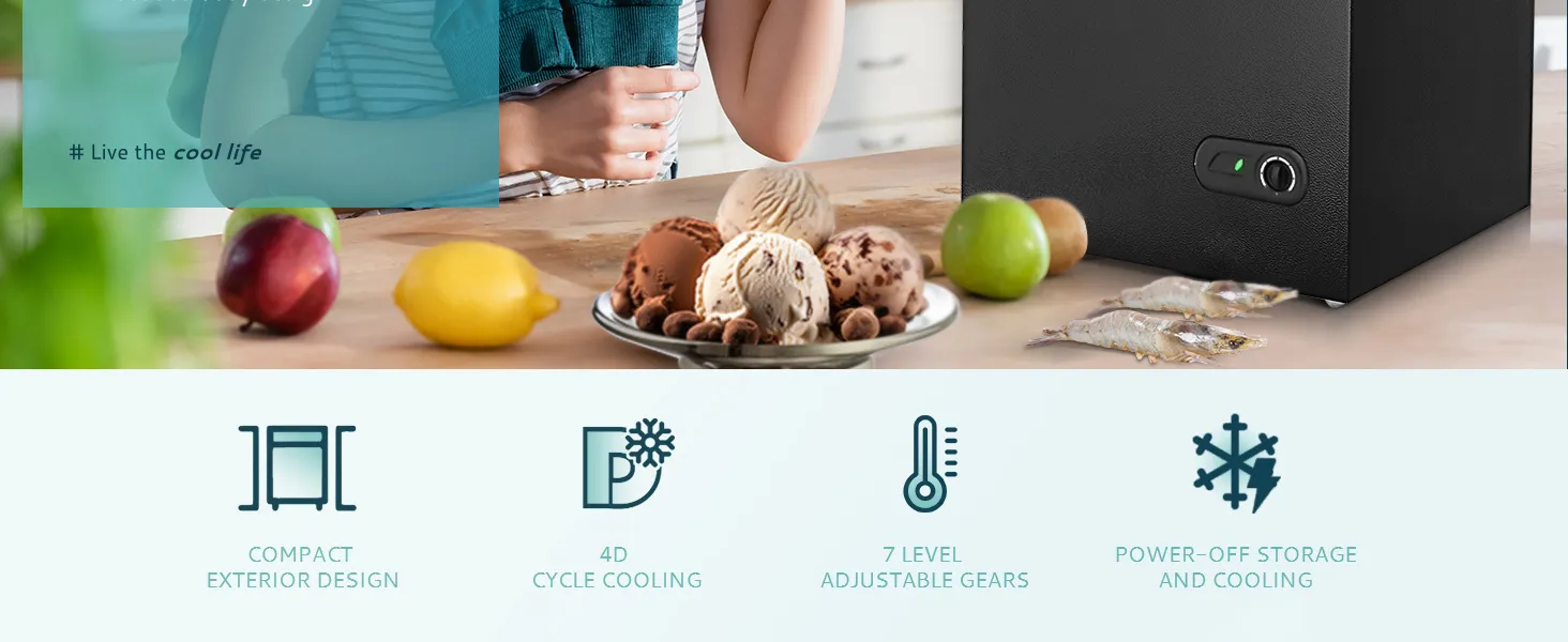 Mini Fridge with Insulated Door Seal and 90L Capacity