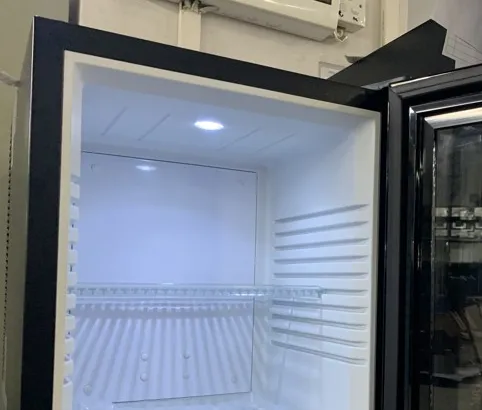 Thermoelectric Noiseless 32L Mini Fridge Glass Door Beverage Showcase