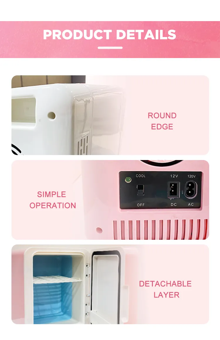 Car Use Portable Home Use 4L LED Lighted Makeup Mirro Beauty Fridge