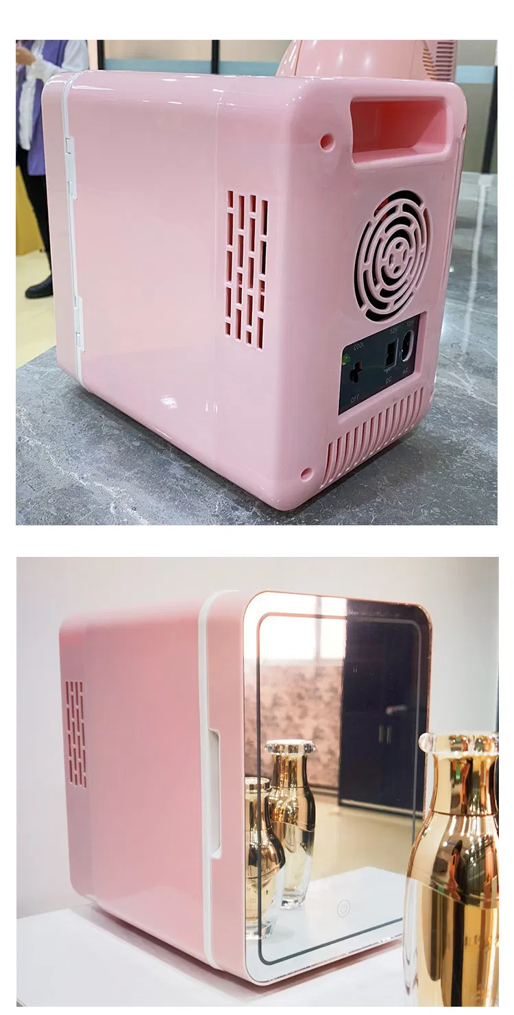 Car Use Portable Home Use 4L LED Lighted Makeup Mirro Beauty Fridge