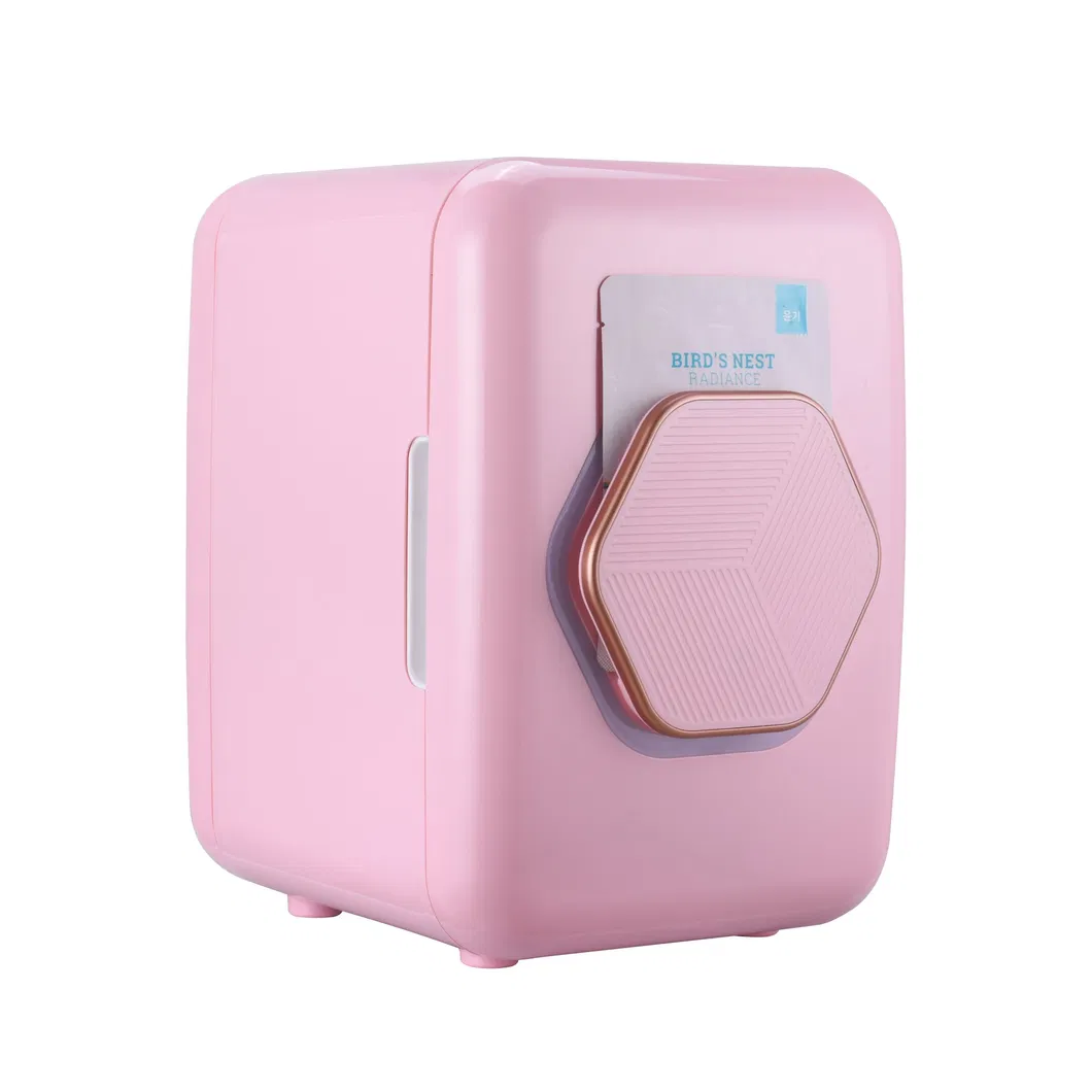 Factory Price Beauty Facial Mask Mini 9L Portable Cosmetic Fridge with LED