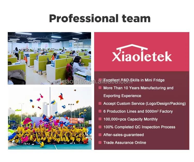 Factory Price Beauty Facial Mask Mini 9L Portable Cosmetic Fridge with LED