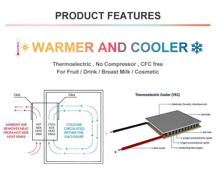 Factory Price Beauty Facial Mask Mini 9L Portable Cosmetic Fridge with LED