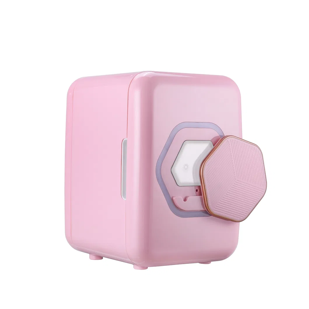 Factory Price Beauty Facial Mask Mini 9L Portable Cosmetic Fridge with LED