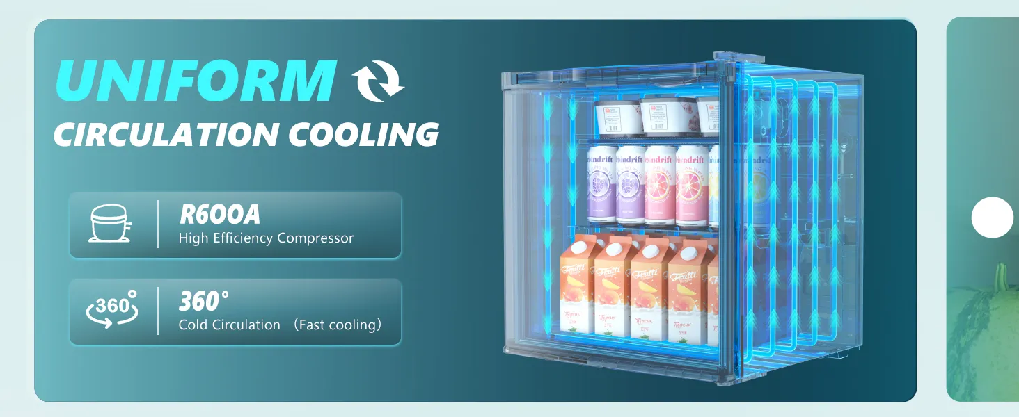 Energy Efficient Mini Fridge with Built-in Freezer for Small Areas