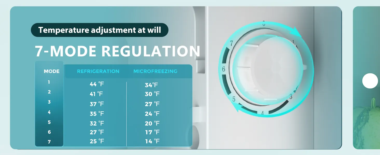 Energy Efficient Mini Fridge with Built-in Freezer for Small Areas