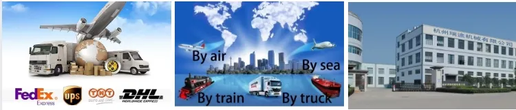 Waycool Dual Zones Single Control Digital Fridge Mini Car Fridge for Vegetables/Fruit/Camping/Outdoor/SUV/Travel