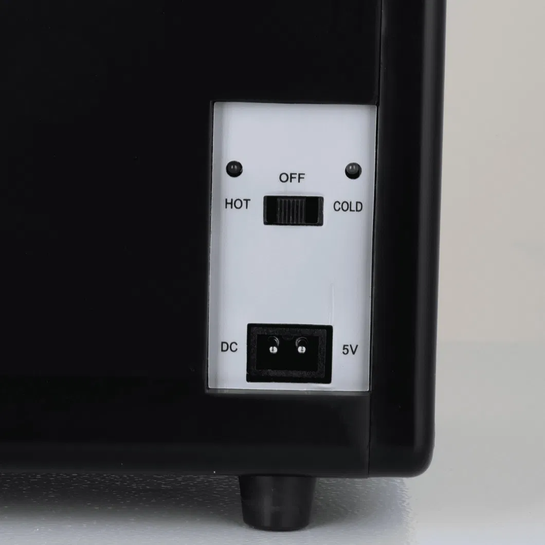 Supplier 4L Mini Cooler Compact Refrigerators Skincare Mini Fridge