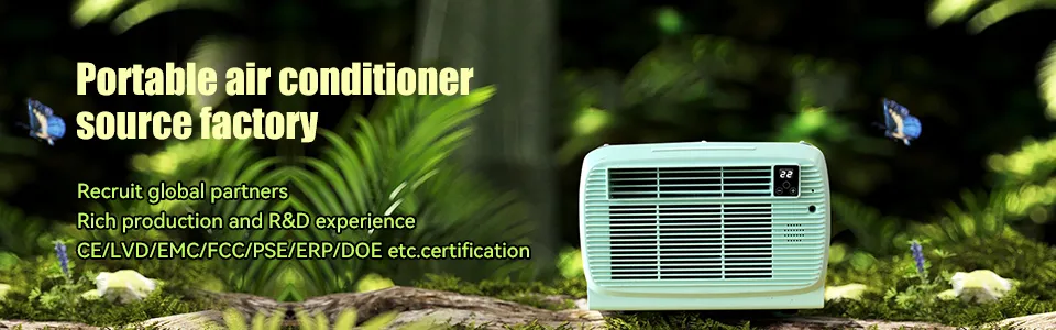 110V 220V Direct Sale Fixed Frequency Mini Portable Air Conditioner for Home