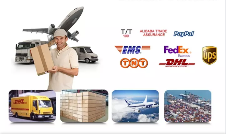 Factory Projector Wholesale Price Home Theater Digital WiFi Smart Beamer LCD Projector Cp350