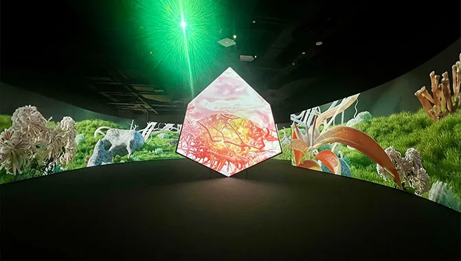 7800 Lumen Hologram Projector 3D Holographic Projection for Art Exhibition