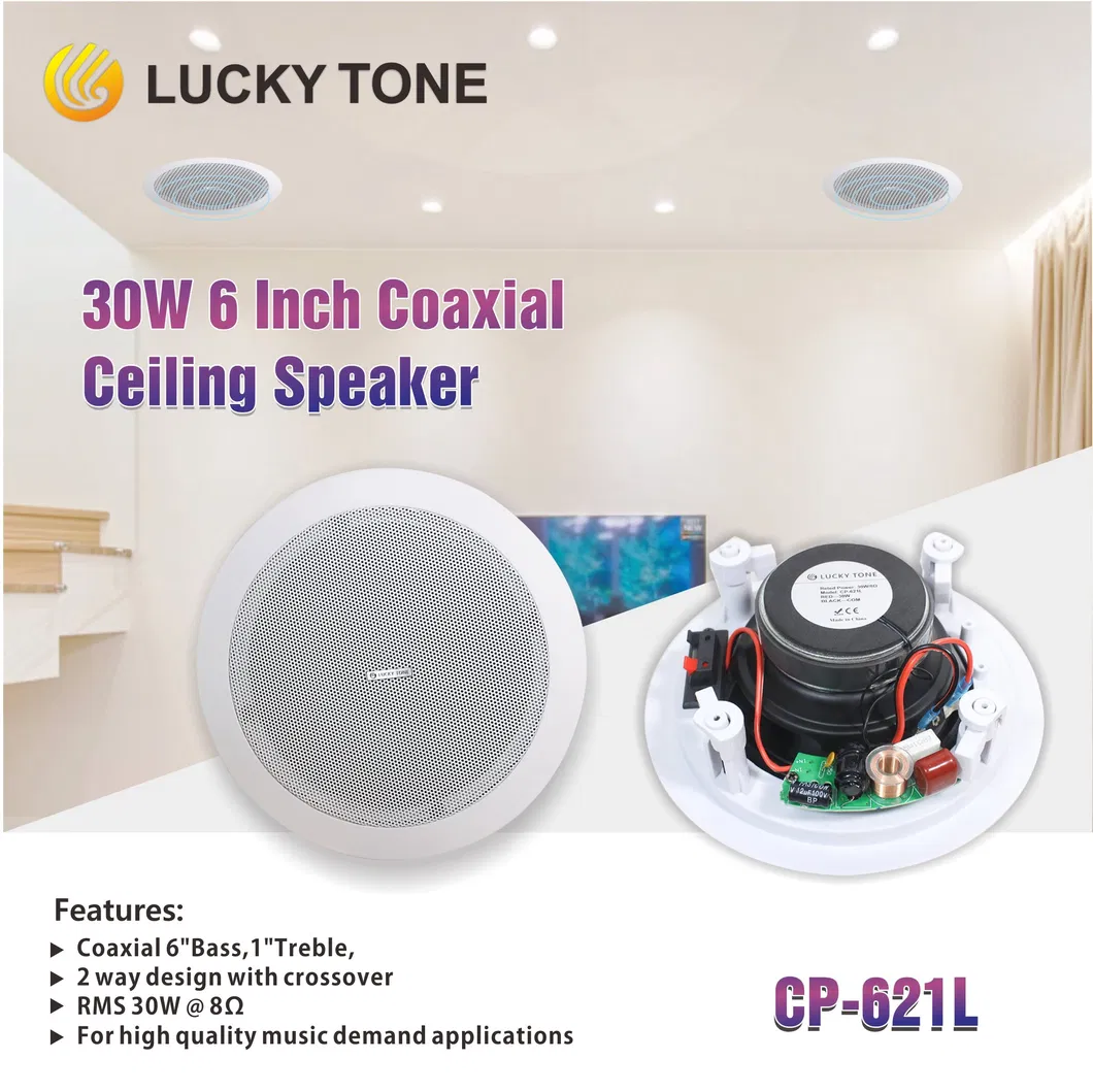 5.1-Channel Sound System Home Theater Surround Bluetooth System Digital Audio Video Amplifier Five Full Range 10 Inch Ceiling