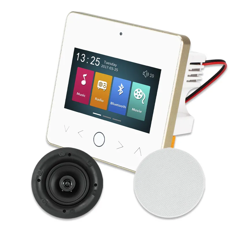 Stereo Smart Home Audio System in Wall Amplifier Blue-Tooth Amplifier