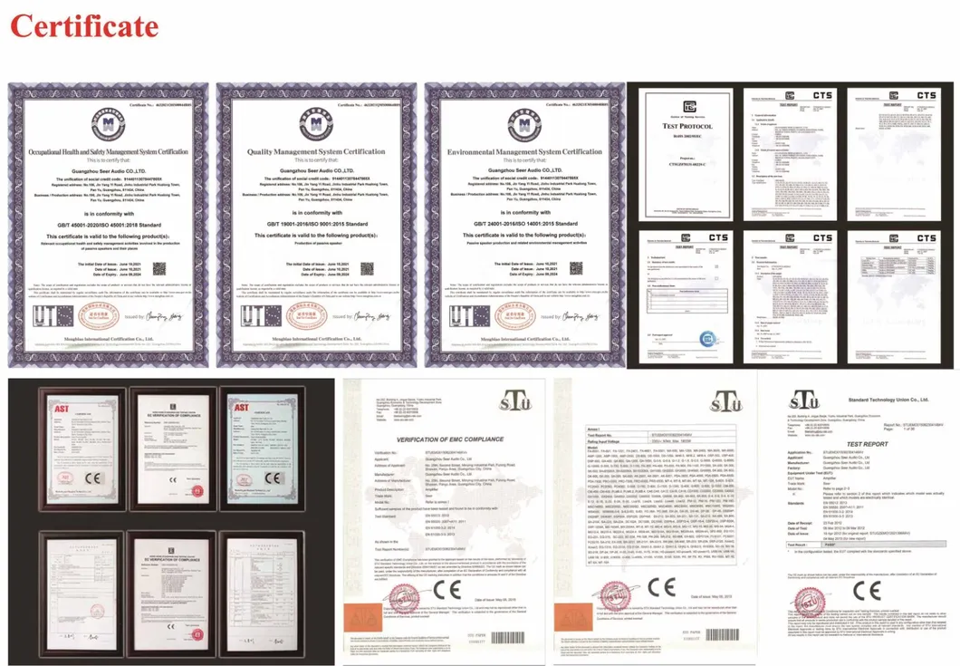 Seer Audio Td-215 Dual 15inch Speaker Theatre System Home Cinema System Active Line Array