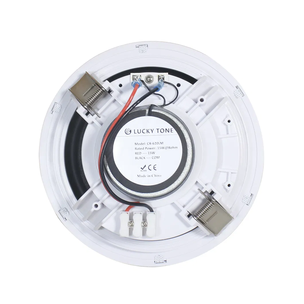 Hi-Fi Sound 2 Channel Home Theater System with 100W Amplifier and 6 Inch 30W Ceiling Speakers