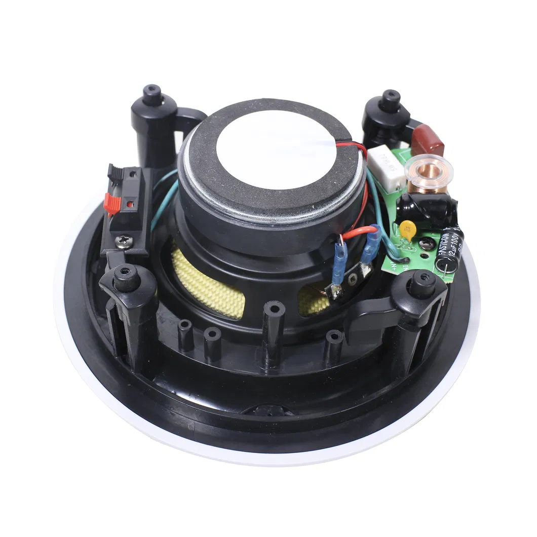 2 Channel Home Stereo Sound System with 2*100W Amplifier and 5 Inch 40W Ceiling Speakers