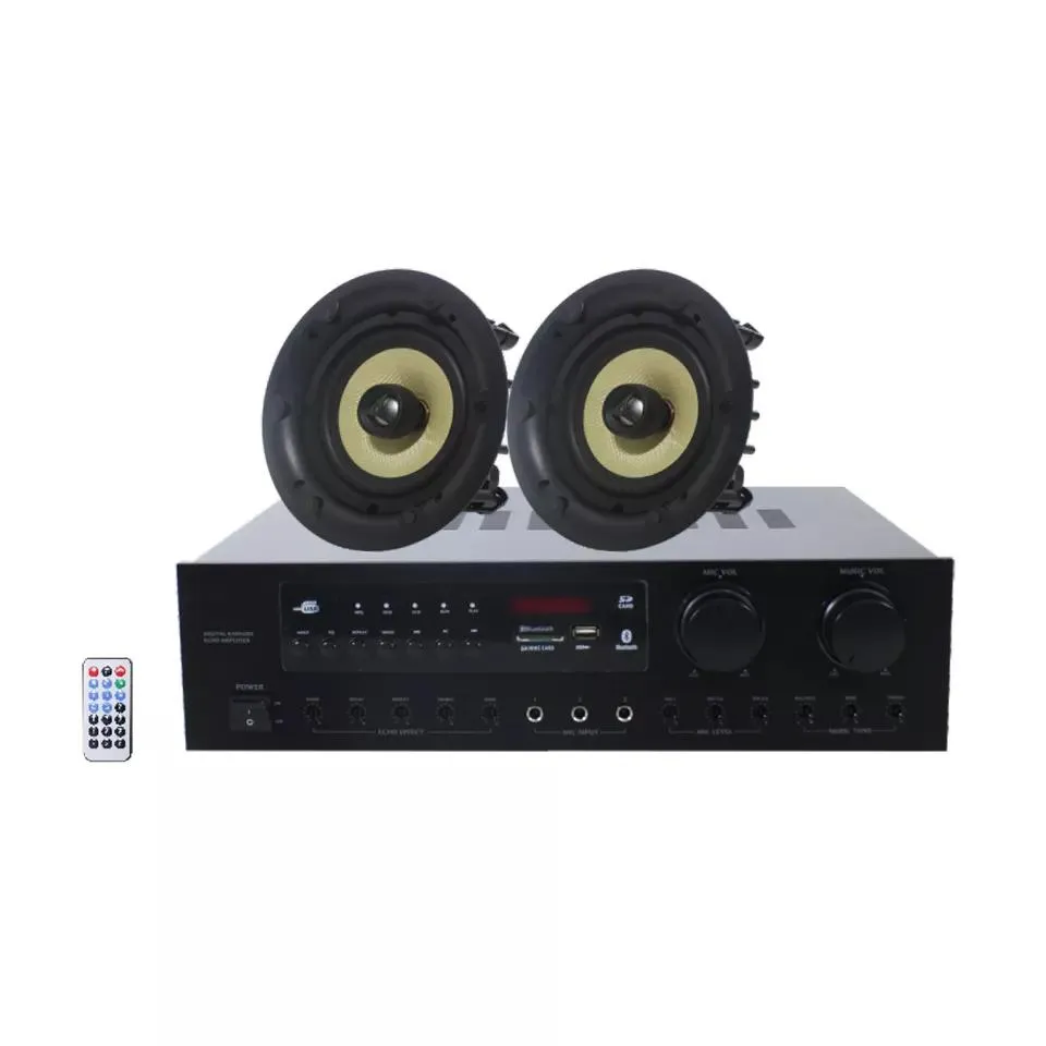2 Channel Home Stereo Sound System with 2*100W Amplifier and 5 Inch 40W Ceiling Speakers