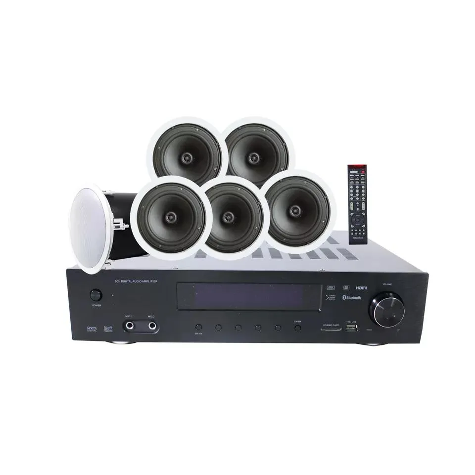 5.1 Home Theater System with Amplifier, 6 Inch Ceiling Speaker and 10 Inch Ceiling Subwoofer