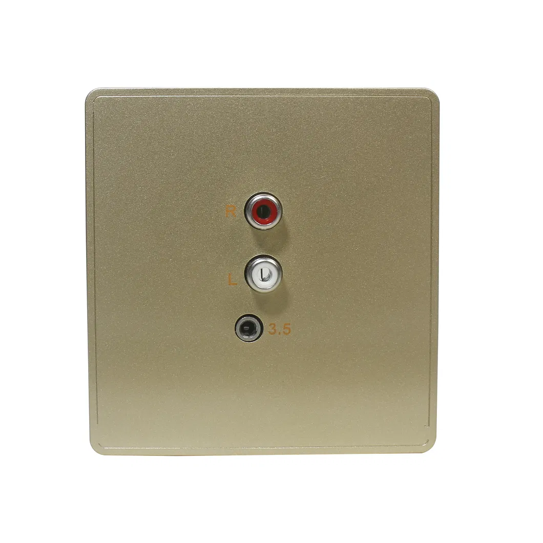 It-50m Stereo Source Wall Input Panel in European 86 Standard Use for Smart Home Theater Amplifier and Audio Set