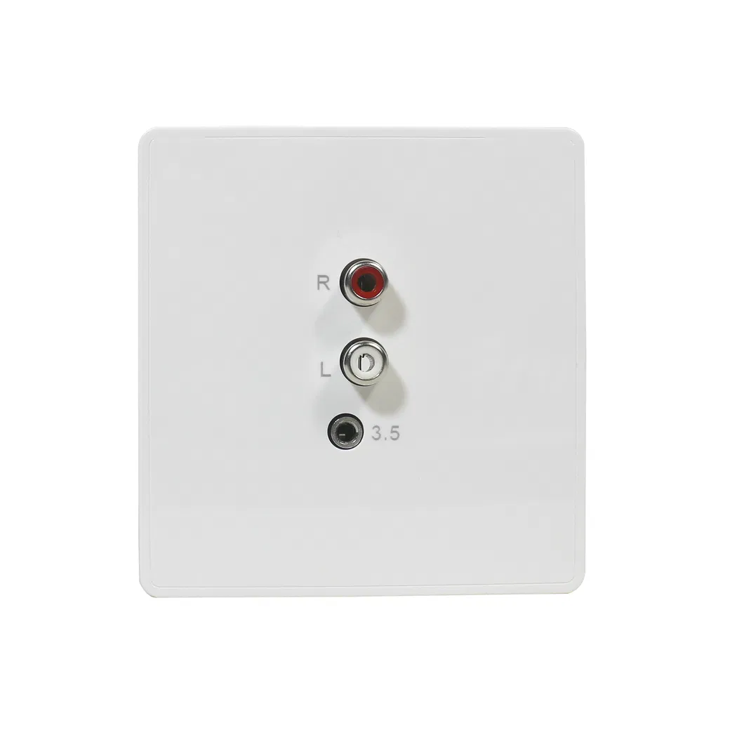 It-50m Stereo Source Wall Input Panel in European 86 Standard Use for Smart Home Theater Amplifier and Audio Set