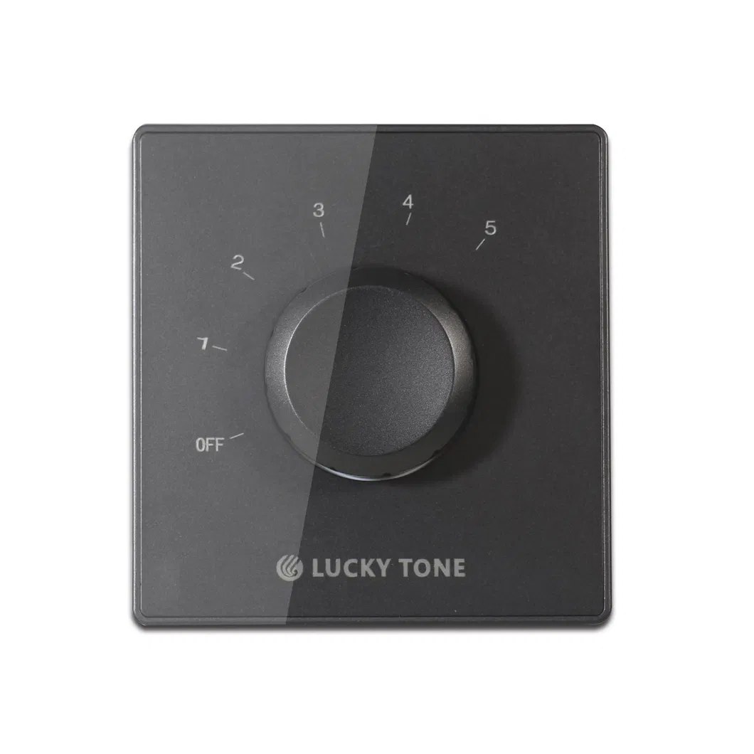 Lucky Tone 2*30 Smart Home Audio Volume Control Match for Multi-Room Amplifier at Best Price