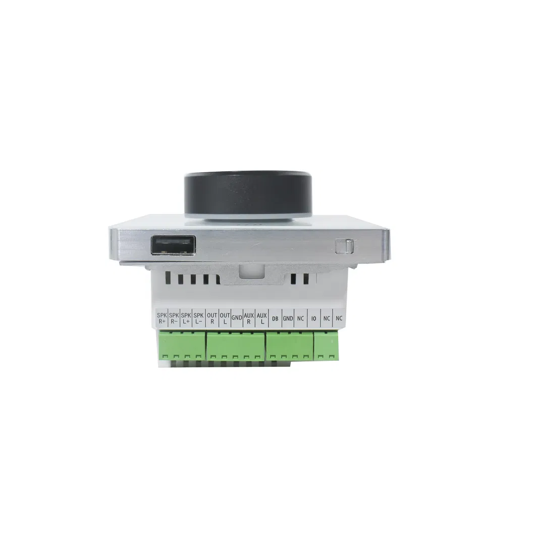 Instant Discount Multi-Home Bluetooth Volume Control with Amplifier &amp; Color Screen and Support USB and SD Card Storage