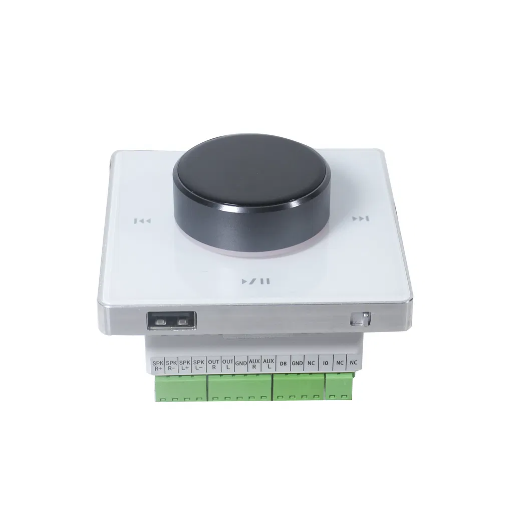 Instant Discount Multi-Home Bluetooth Volume Control with Amplifier &amp; Color Screen and Support USB and SD Card Storage